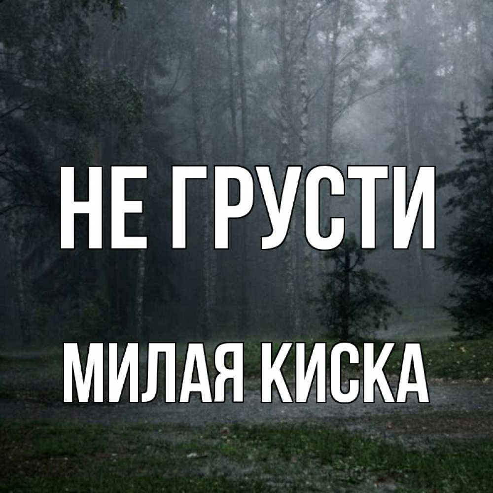 Открытка на каждый день с именем, Милая-киска Не грусти осень Прикольная открытка с пожеланием онлайн скачать бесплатно 
