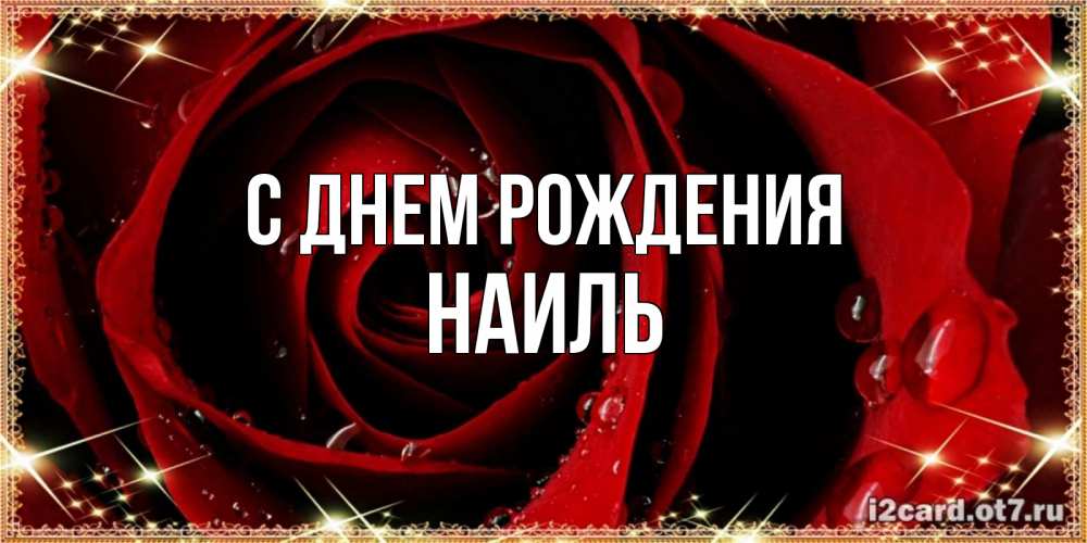 Открытка на каждый день с именем, Наиль С днем рождения цветок в росе на день рождения Прикольная открытка с пожеланием онлайн скачать бесплатно 