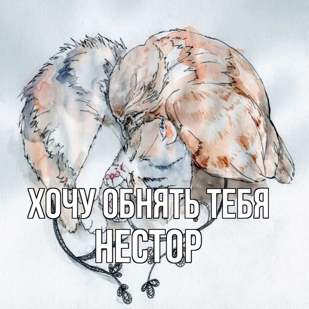 Открытка на каждый день с именем, Нестор Хочу обнять тебя можно быть вместе даже когда очень разные Прикольная открытка с пожеланием онлайн скачать бесплатно 
