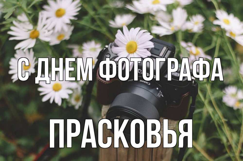 Открытка на каждый день с именем, Прасковья С днем фотографа с днем фотографа Прикольная открытка с пожеланием онлайн скачать бесплатно 