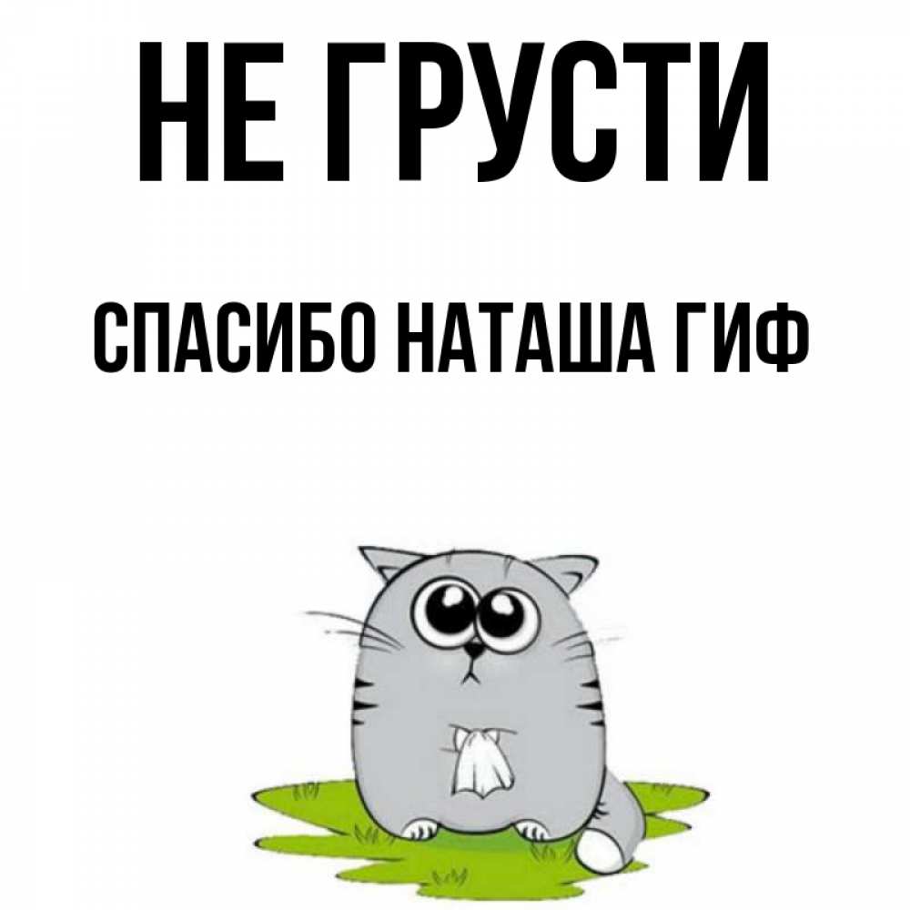 Открытка на каждый день с именем, СПАСИБО-НАТАША-ГИФ Не грусти грустный котяра Прикольная открытка с пожеланием онлайн скачать бесплатно 