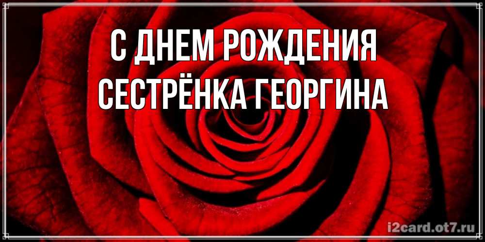 Открытка на каждый день с именем, Сестрёнка-Георгина С днем рождения алая роза Прикольная открытка с пожеланием онлайн скачать бесплатно 