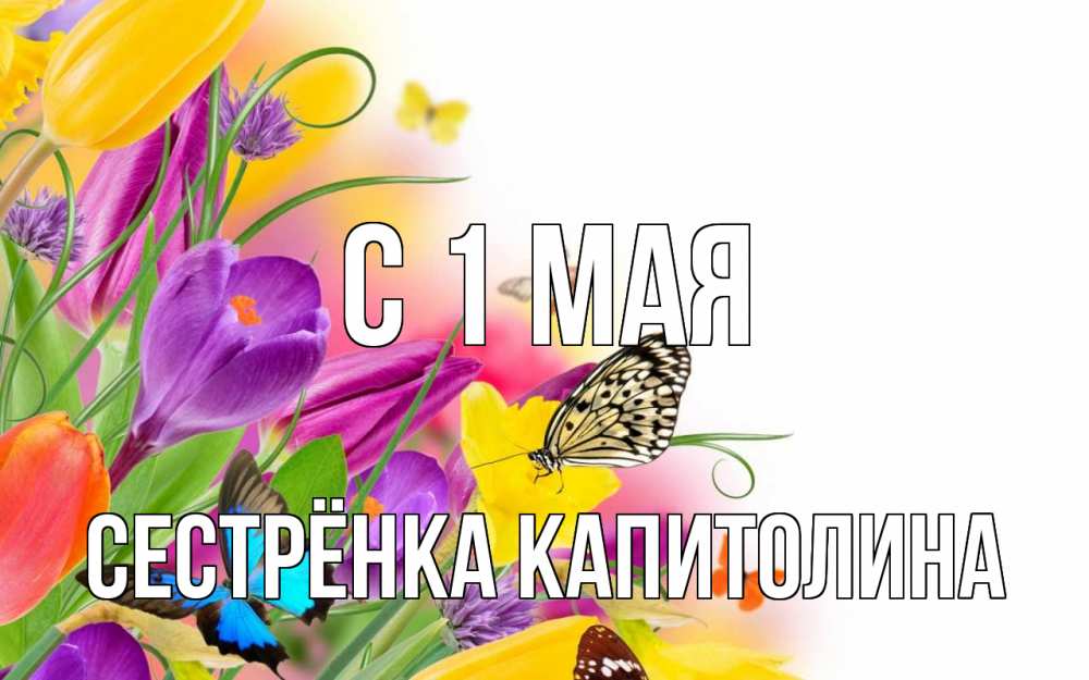 Открытка на каждый день с именем, Сестрёнка-Капитолина С 1 мая С 1 мая Прикольная открытка с пожеланием онлайн скачать бесплатно 