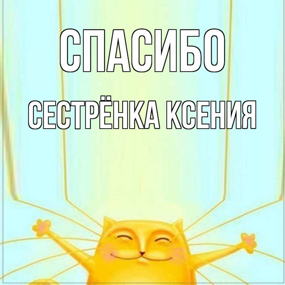Открытка на каждый день с именем, Сестрёнка-Ксения Спасибо кот с усами благодарит Прикольная открытка с пожеланием онлайн скачать бесплатно 