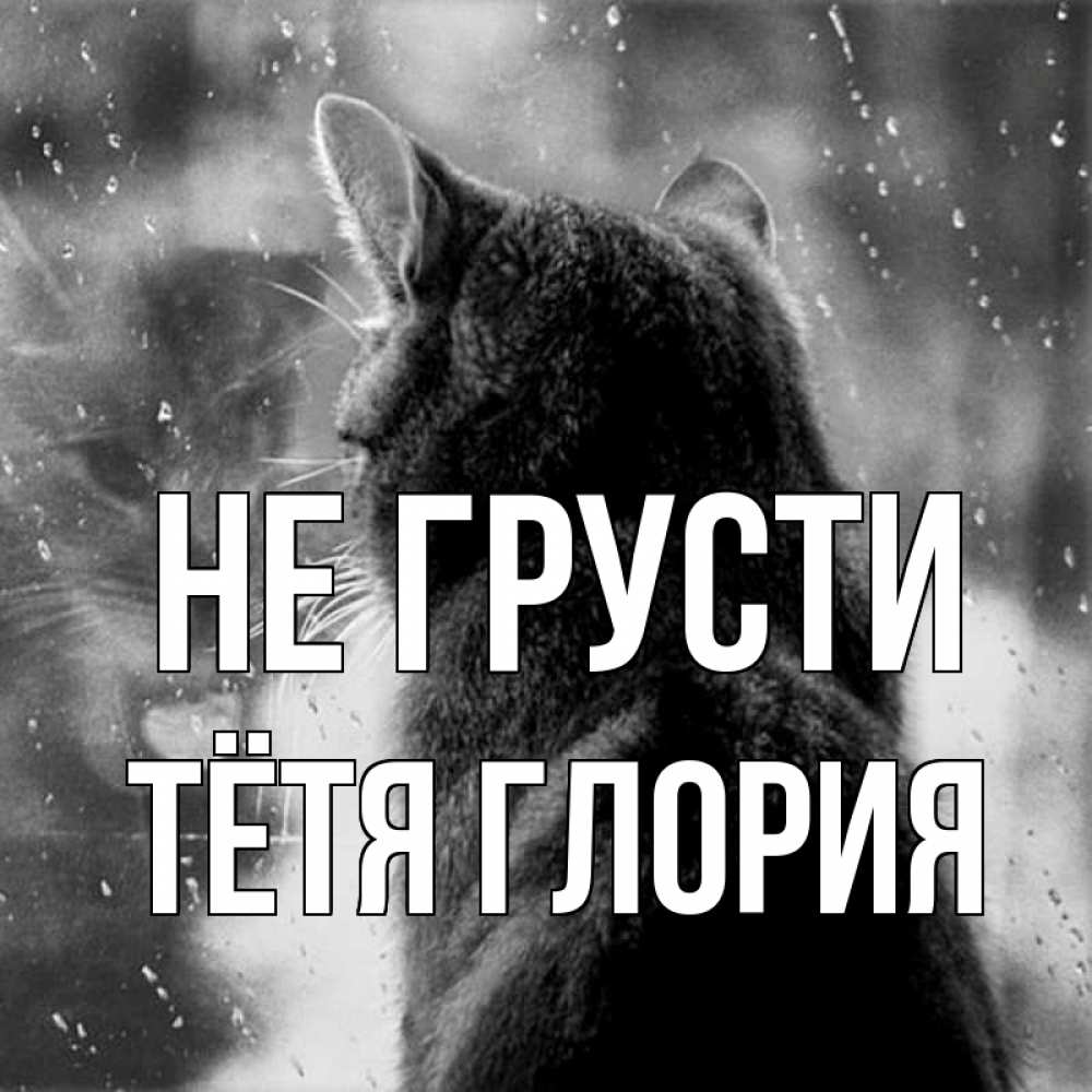 Открытка на каждый день с именем, Тётя-Глория Не грусти отражение кота 1 Прикольная открытка с пожеланием онлайн скачать бесплатно 