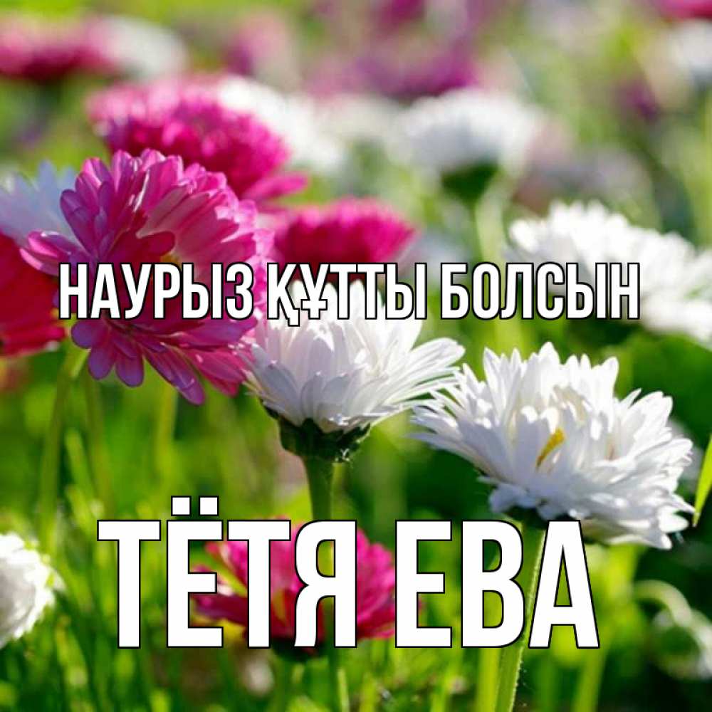 Открытка на каждый день с именем, Тётя-Ева Наурыз құтты болсын наурыз Прикольная открытка с пожеланием онлайн скачать бесплатно 