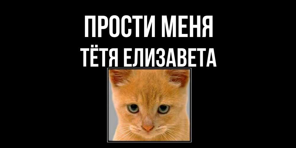 Открытка на каждый день с именем, Тётя-Елизавета Прости меня рыжий грустный кот просит прощения Прикольная открытка с пожеланием онлайн скачать бесплатно 