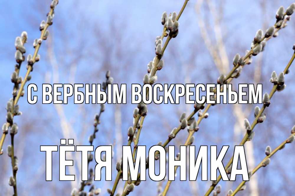 Открытка на каждый день с именем, Тётя-Моника С вербным воскресеньем верба Прикольная открытка с пожеланием онлайн скачать бесплатно 