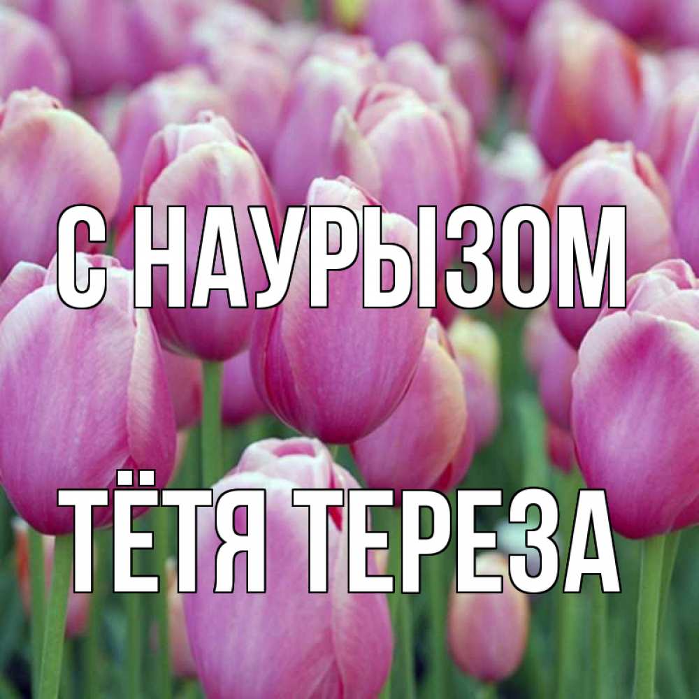 Открытка на каждый день с именем, Тётя-Тереза С наурызом праздник весны наурыз 69 Прикольная открытка с пожеланием онлайн скачать бесплатно 