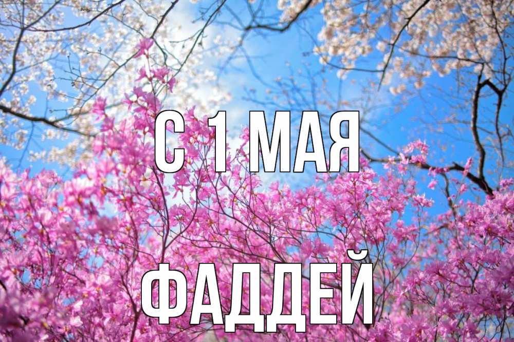 Открытка на каждый день с именем, Фаддей С 1 мая С 1 мая Прикольная открытка с пожеланием онлайн скачать бесплатно 