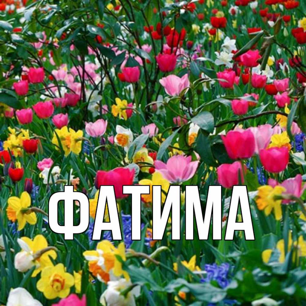 Открытка на каждый день с именем, Фатима Главная с наурызом поздравления для женщины Прикольная открытка с пожеланием онлайн скачать бесплатно 