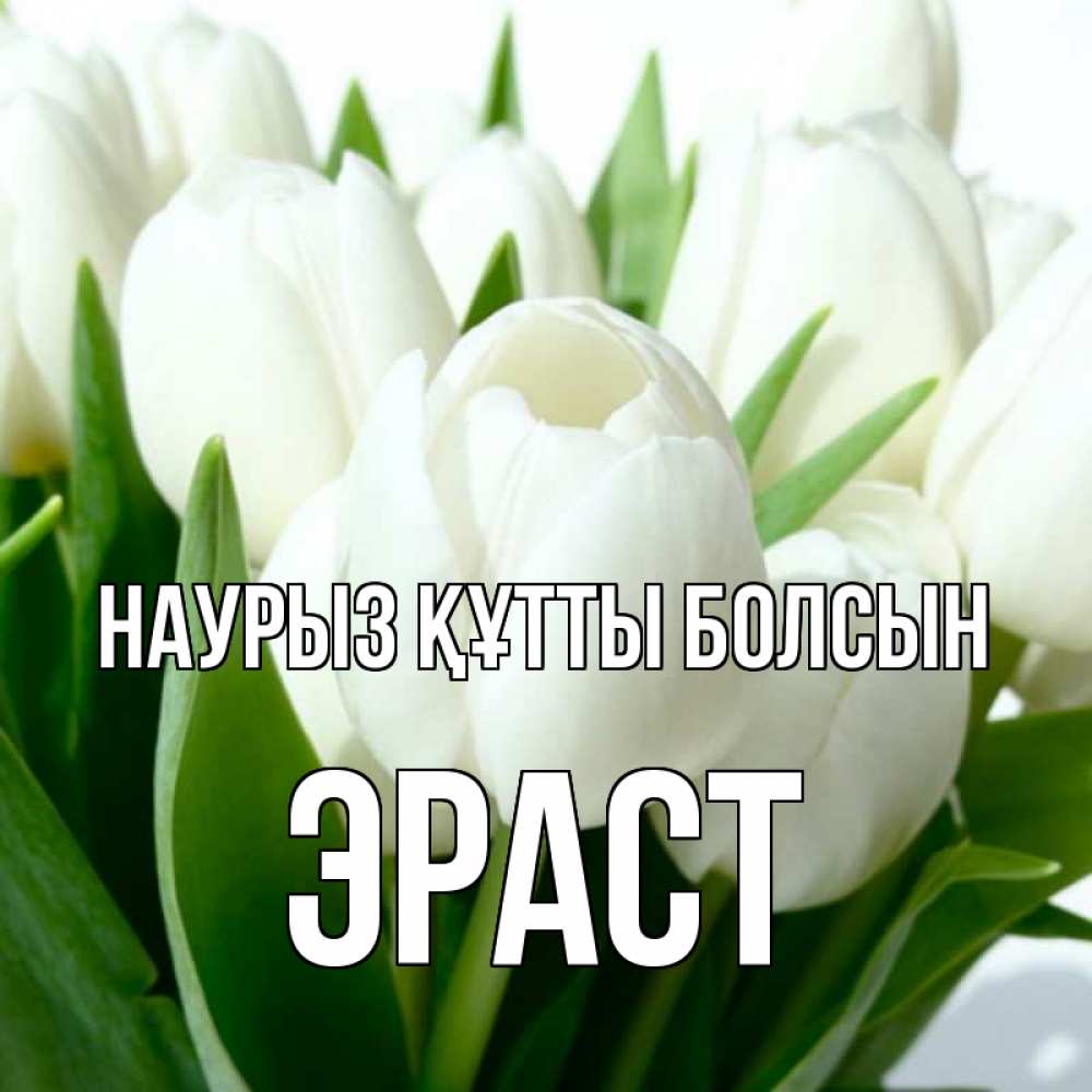 Открытка на каждый день с именем, Эраст Наурыз құтты болсын цветы Прикольная открытка с пожеланием онлайн скачать бесплатно 