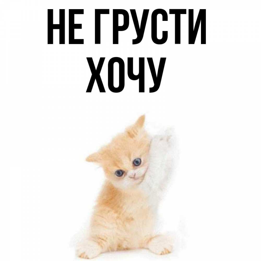 Хочу имен