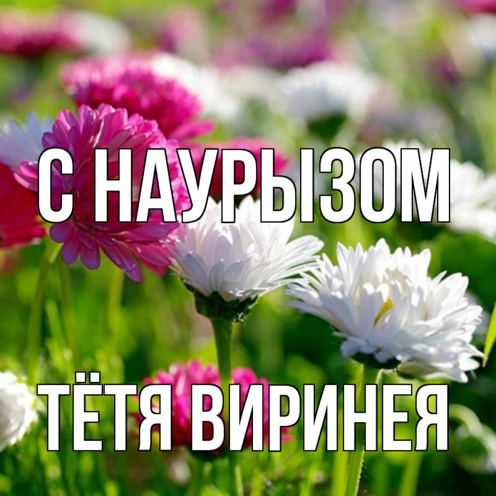 Открытка на каждый день с именем, Тётя-Виринея С наурызом праздник весны наурыз красота Прикольная открытка с пожеланием онлайн скачать бесплатно 