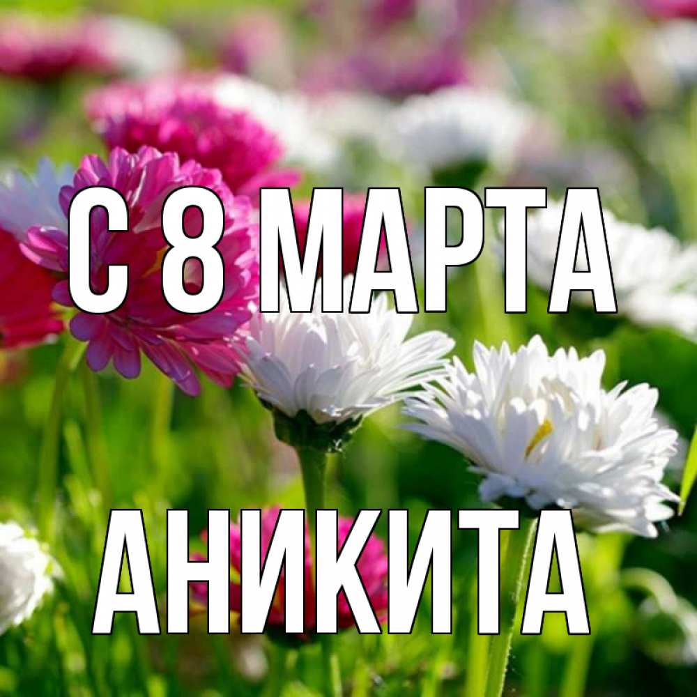 Открытка на каждый день с именем, Аникита С 8 марта международный женский день 1 Прикольная открытка с пожеланием онлайн скачать бесплатно 