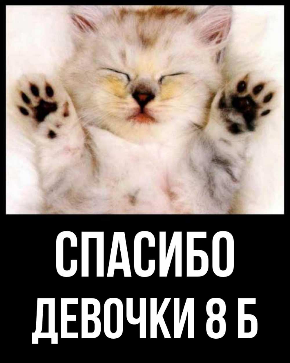 Открытка на каждый день с именем, Девочки-8-б Спасибо маленький котенок Прикольная открытка с пожеланием онлайн скачать бесплатно 