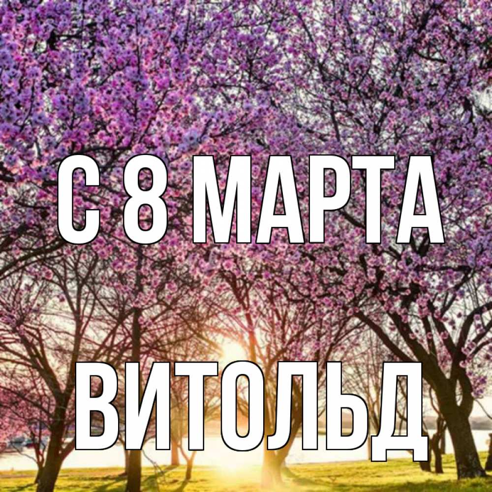 Картинка С 8 МАРТА, Витольд