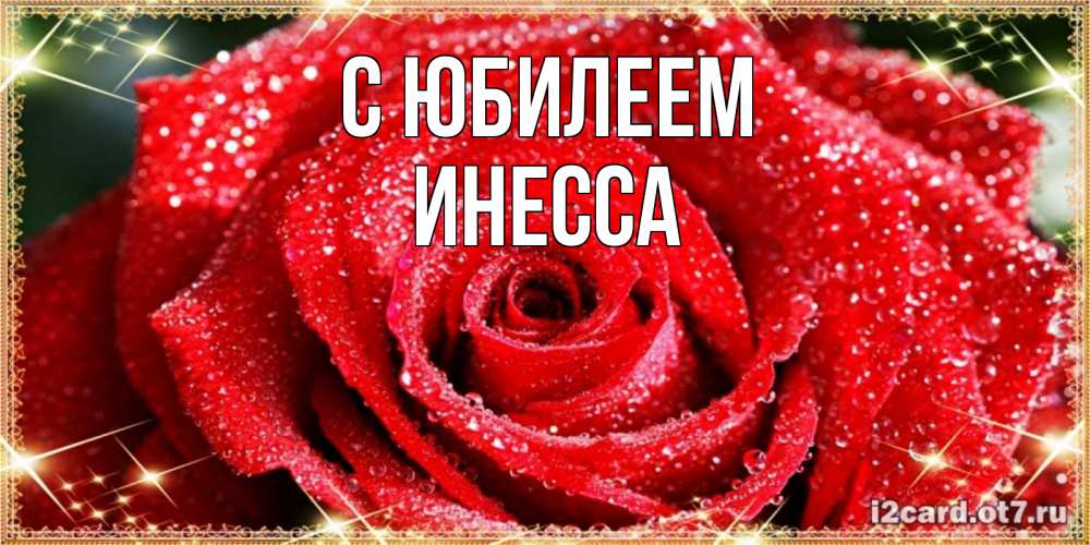 Открытка на каждый день с именем, Инесса С юбилеем роса и роза. открытка с красивой розой Прикольная открытка с пожеланием онлайн скачать бесплатно 