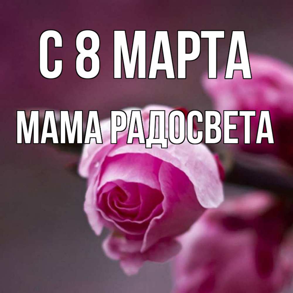 Открытка на каждый день с именем, Мама-Радосвета С 8 марта весна Прикольная открытка с пожеланием онлайн скачать бесплатно 