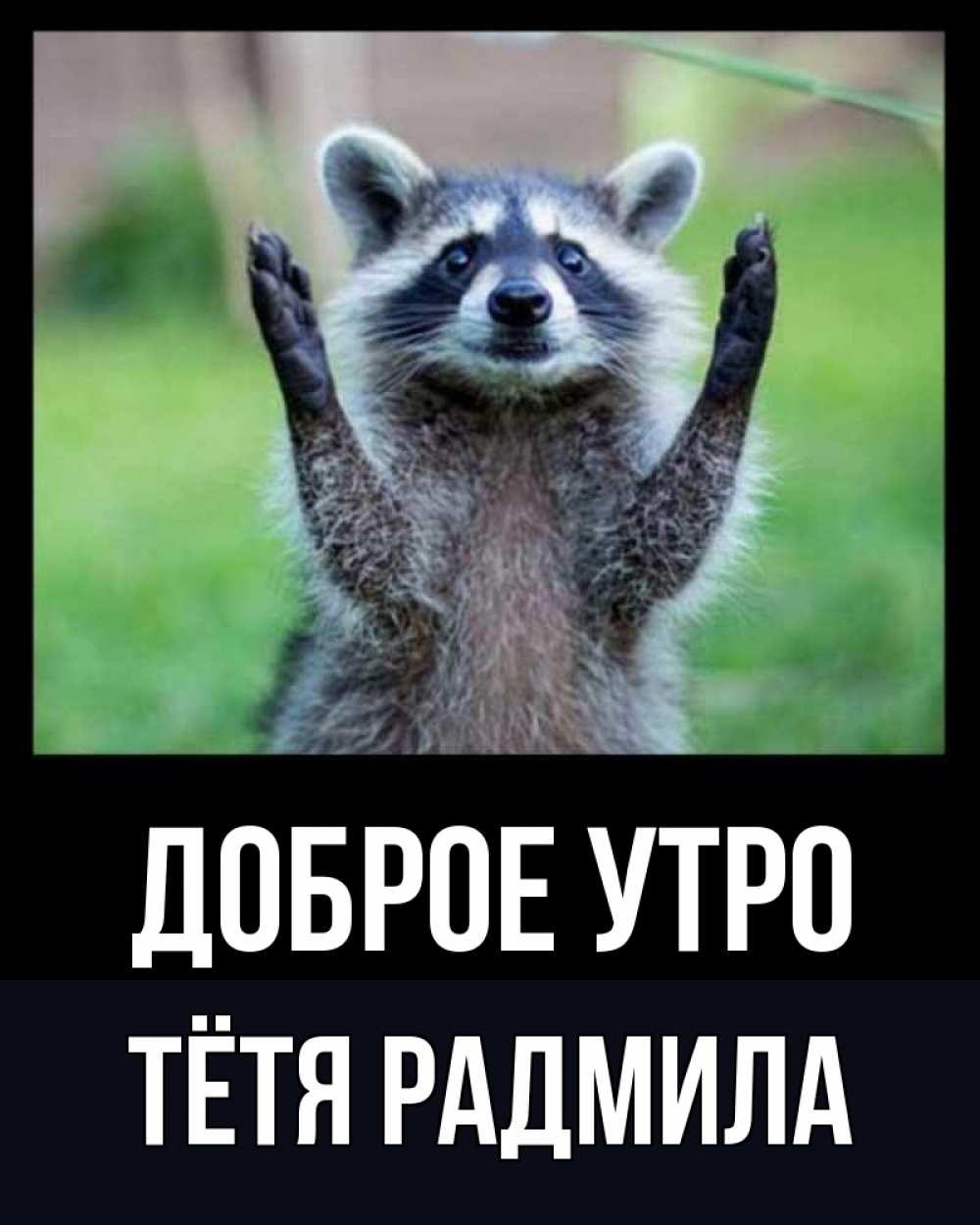 Открытка на каждый день с именем, Тётя-Радмила Доброе утро хорошее настроение утречком Прикольная открытка с пожеланием онлайн скачать бесплатно 