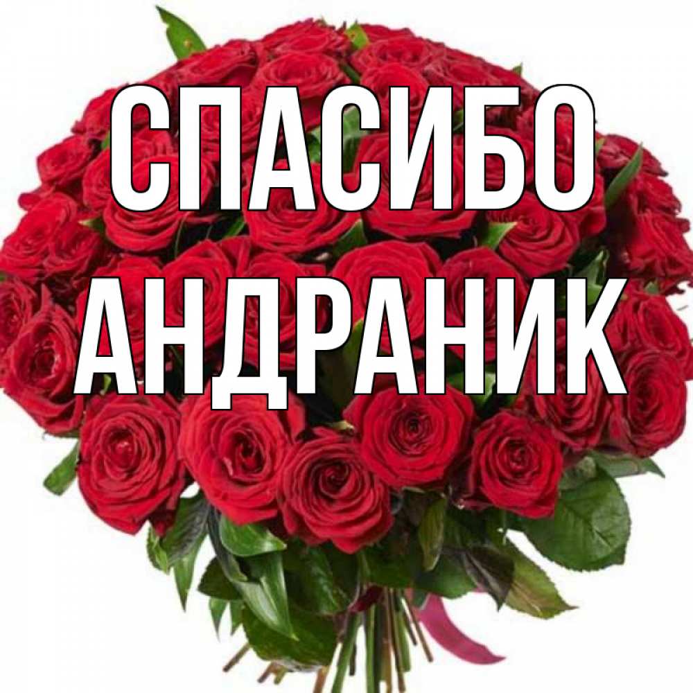 андраник имя