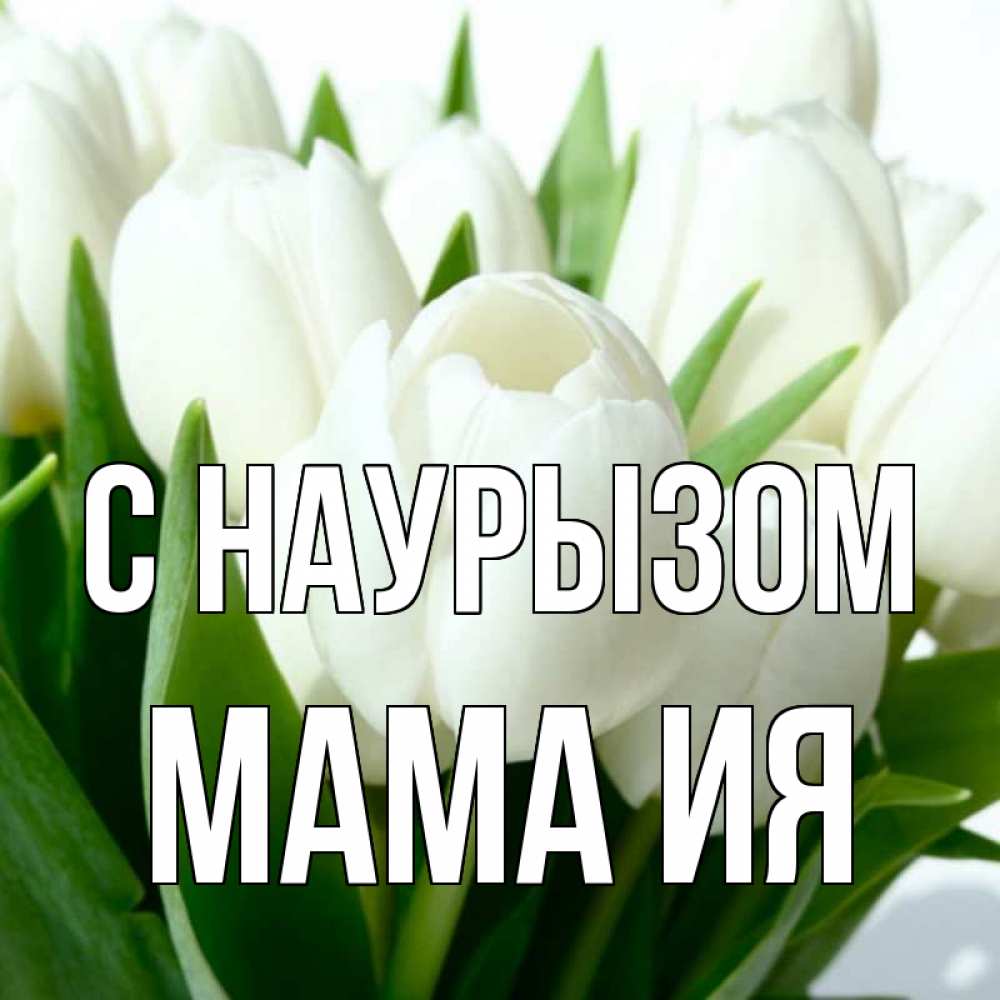 Открытка на каждый день с именем, Мама-Ия С наурызом цветы Прикольная открытка с пожеланием онлайн скачать бесплатно 