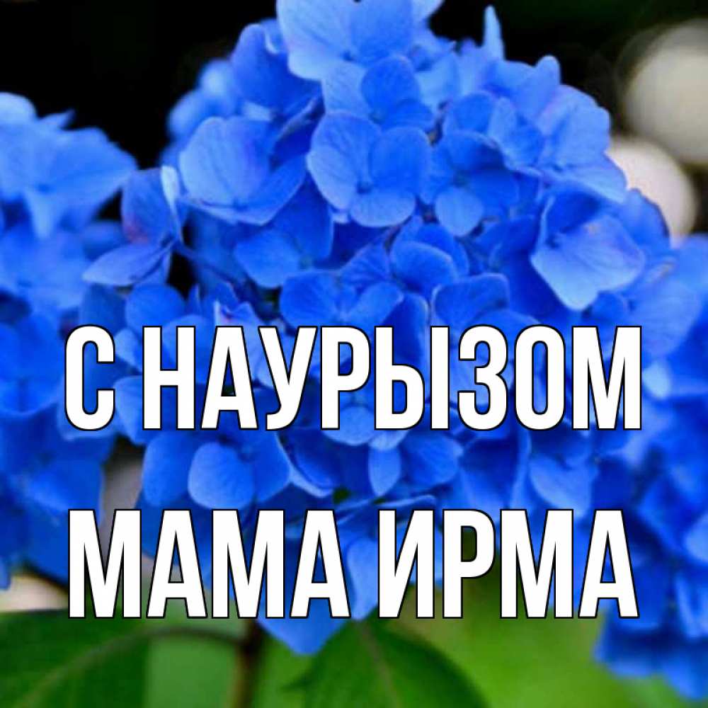 Открытка на каждый день с именем, Мама-Ирма С наурызом синие цветы Прикольная открытка с пожеланием онлайн скачать бесплатно 