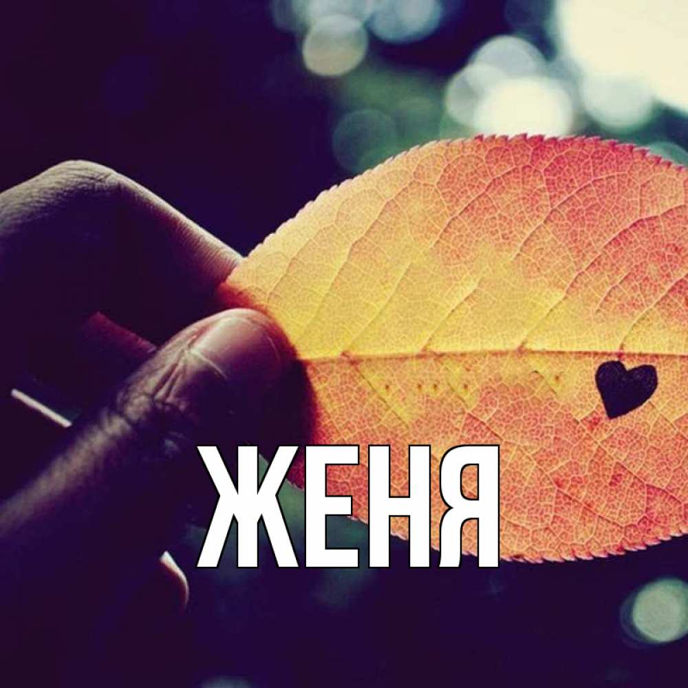 Открытка на каждый день с именем, Женя Главная держу лист Прикольная открытка с пожеланием онлайн скачать бесплатно 