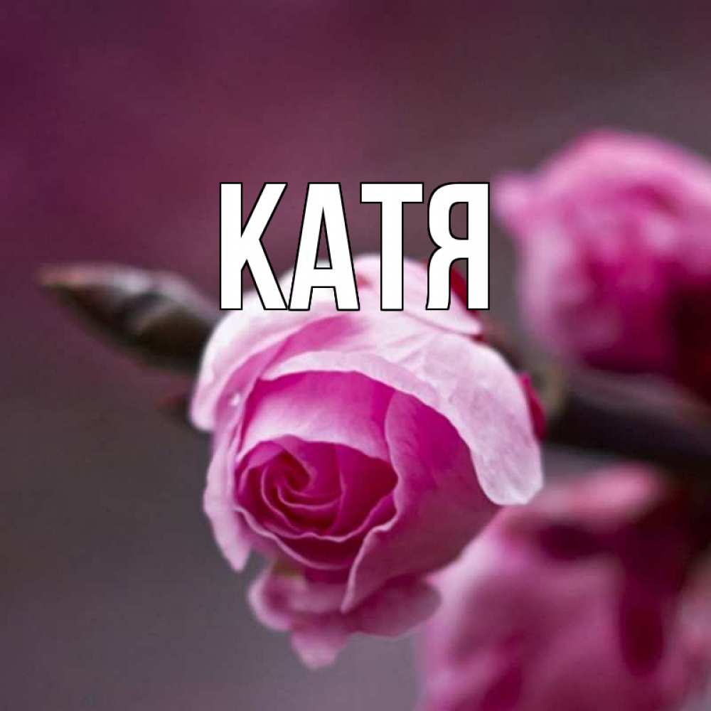 Открытка на каждый день с именем, Катя Главная весна Прикольная открытка с пожеланием онлайн скачать бесплатно 