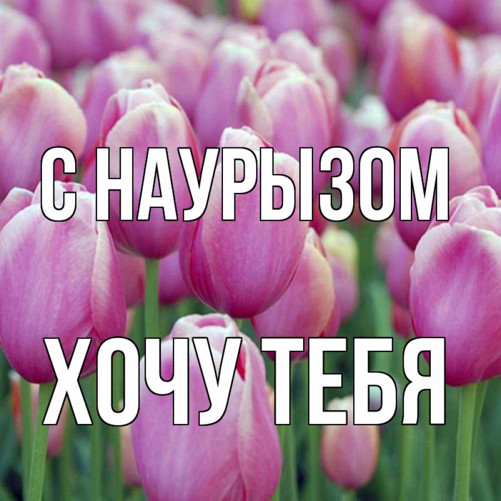 Картинка С наурызом, Хочу тебя