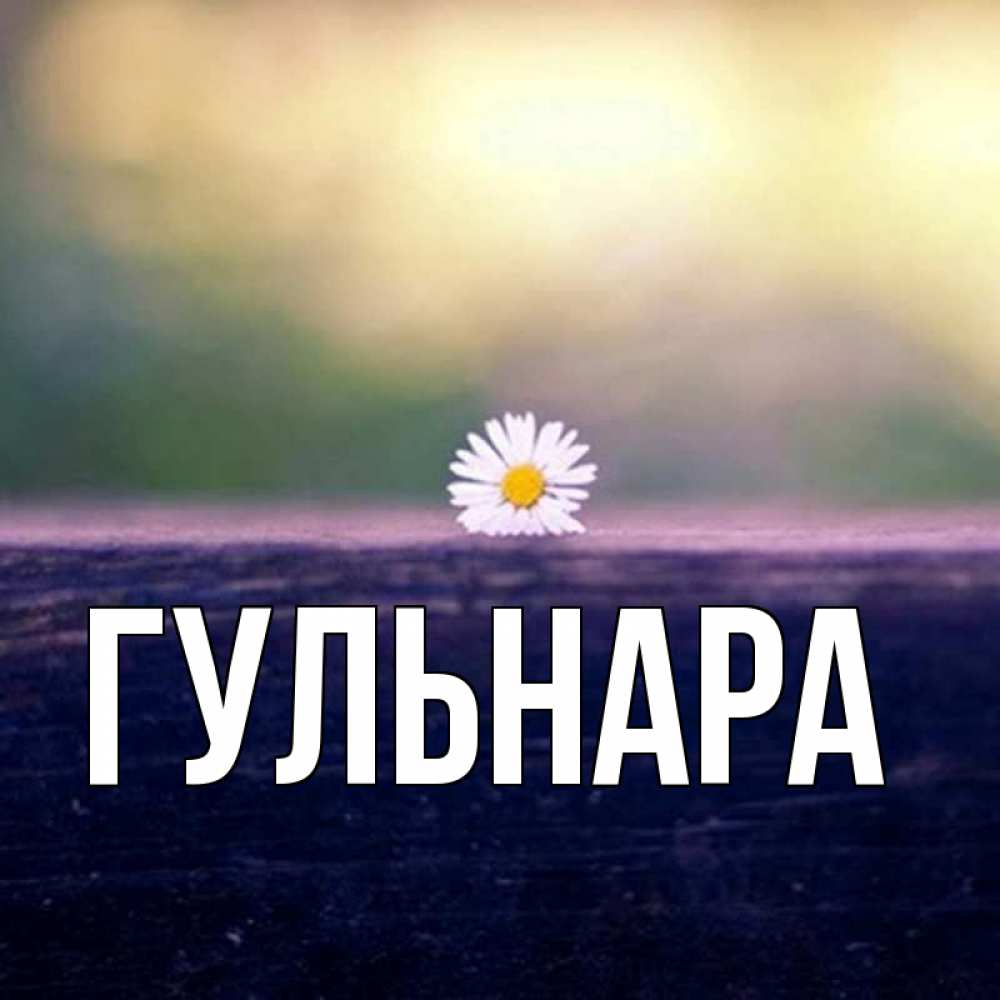 Гульнара картинки цветы