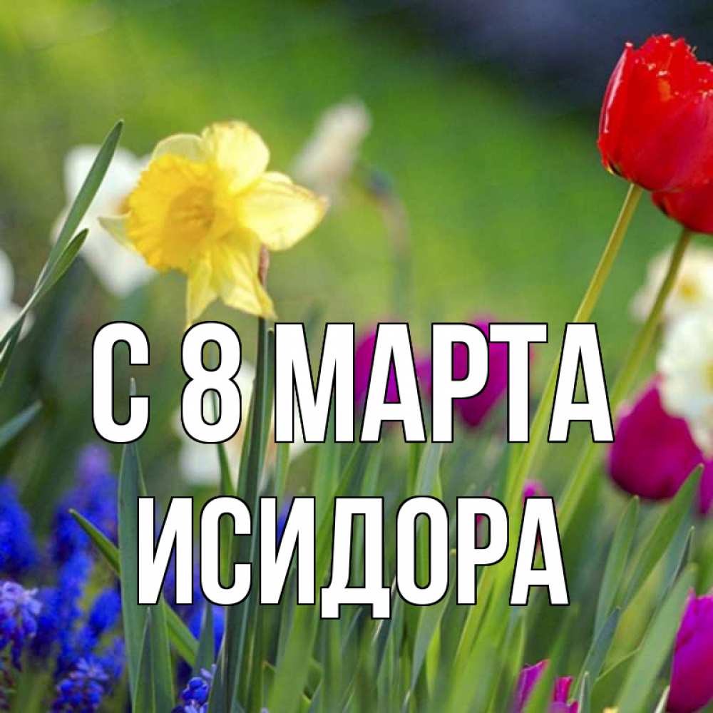 Открытка на каждый день с именем, Исидора С 8 МАРТА международный женский день 3 Прикольная открытка с пожеланием онлайн скачать бесплатно 