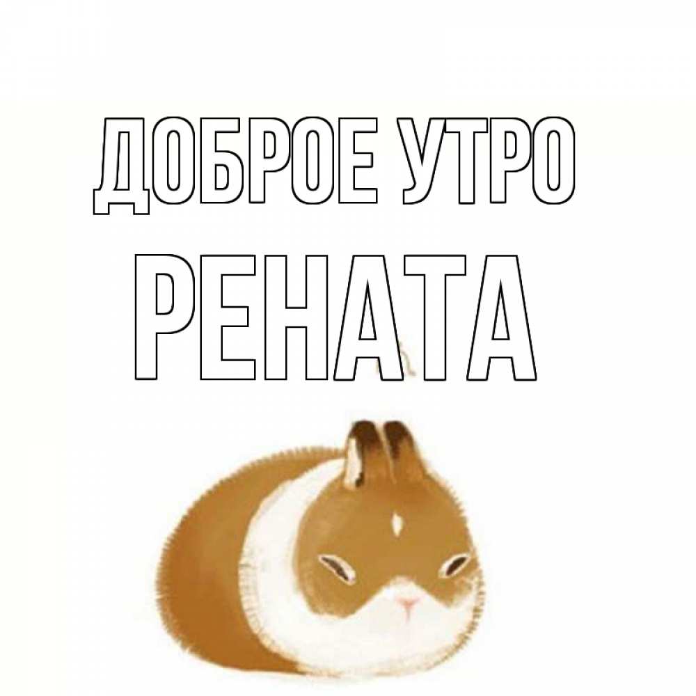 Открытка на каждый день с именем, Рената Доброе утро хорошего утречка Прикольная открытка с пожеланием онлайн скачать бесплатно 
