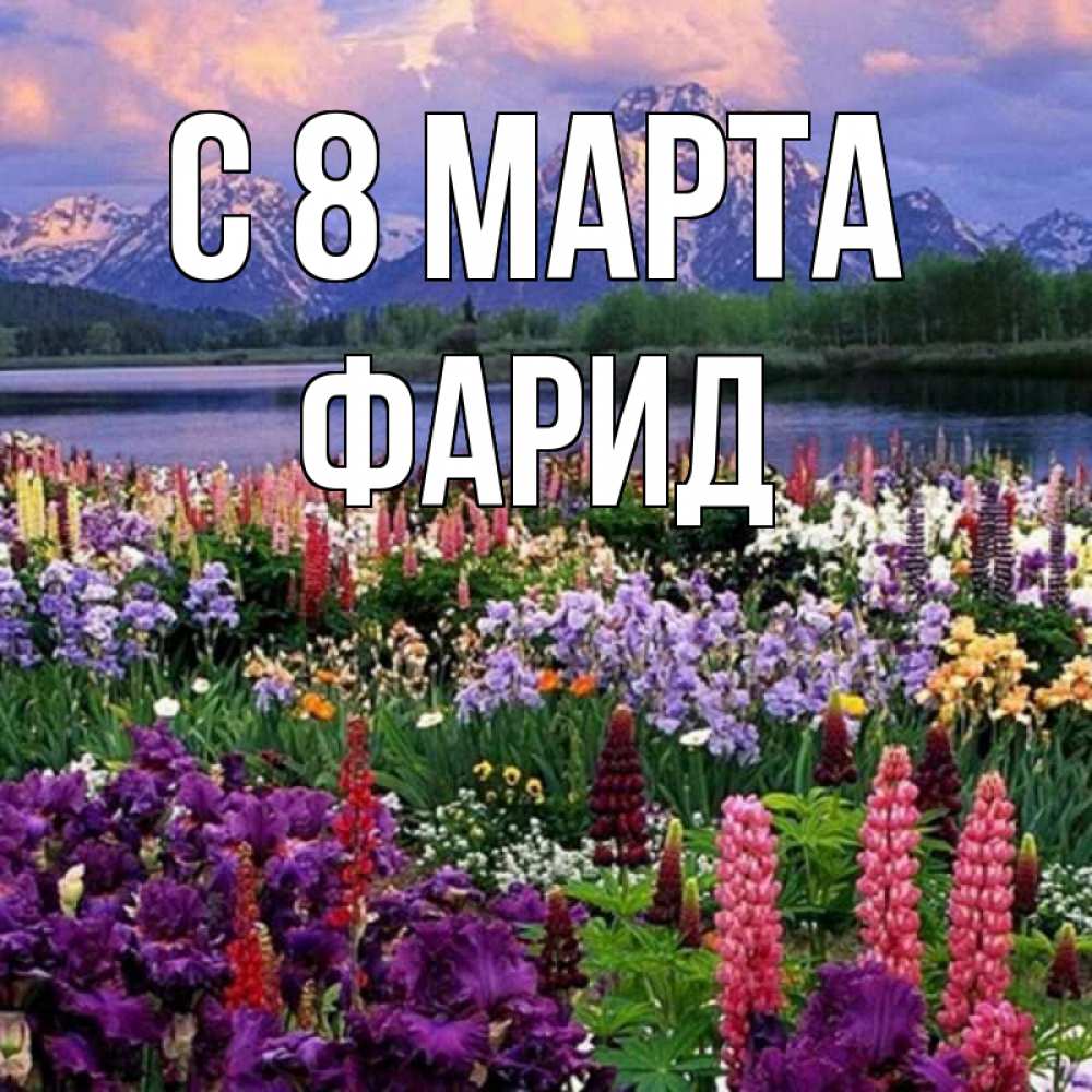 Открытка на каждый день с именем, Фарид С 8 МАРТА международный женский день Прикольная открытка с пожеланием онлайн скачать бесплатно 