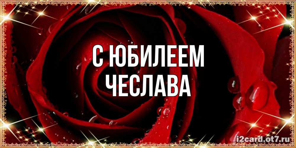 Открытка на каждый день с именем, Чеслава С юбилеем цветок в росе на день рождения Прикольная открытка с пожеланием онлайн скачать бесплатно 