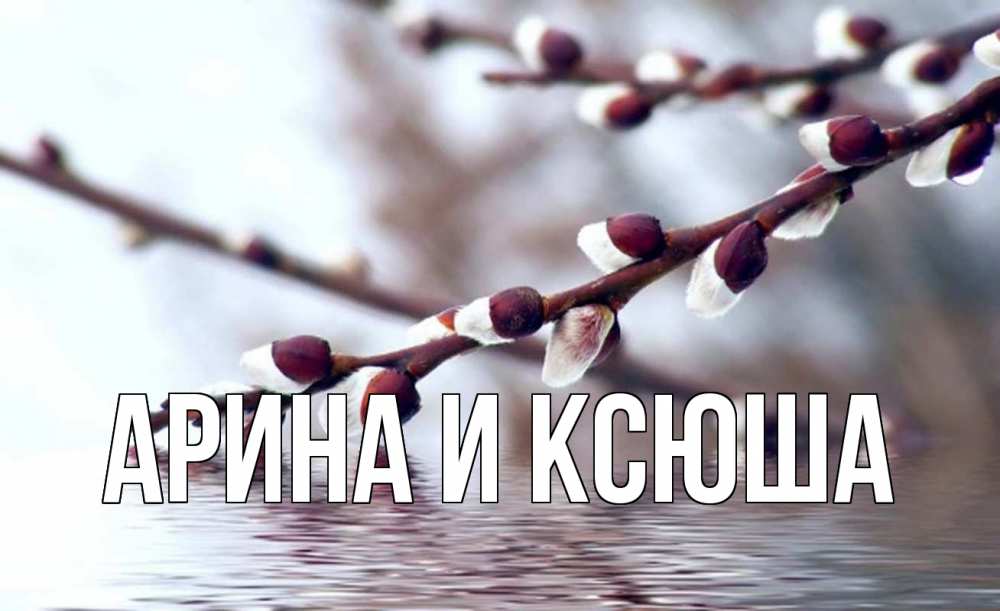 Открытка на каждый день с именем, Арина-и-Ксюша Главная верба, ручей Прикольная открытка с пожеланием онлайн скачать бесплатно 