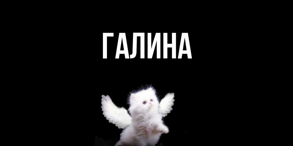 Открытка на каждый день с именем, Галина Главная Кот ангел Прикольная открытка с пожеланием онлайн скачать бесплатно 