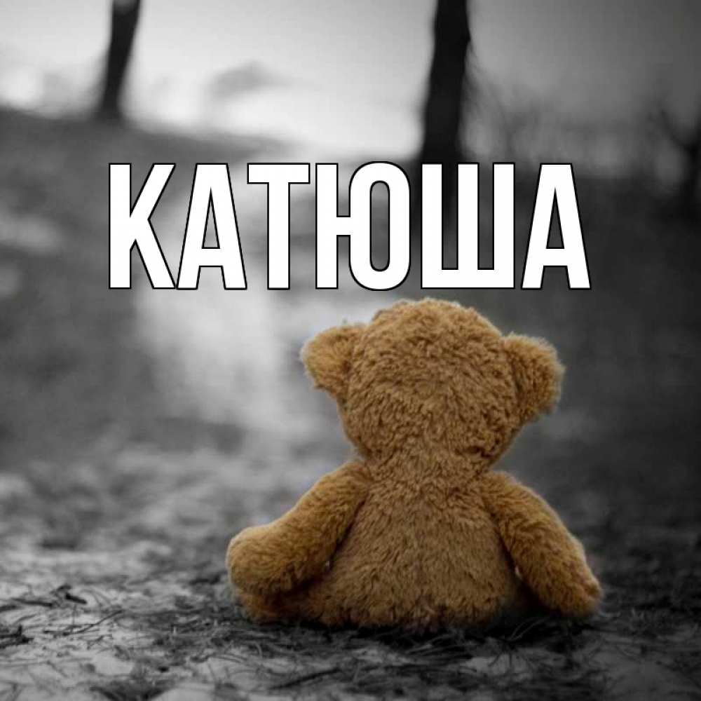 Открытка на каждый день с именем, Катюша Главная медведь со спин Прикольная открытка с пожеланием онлайн скачать бесплатно 