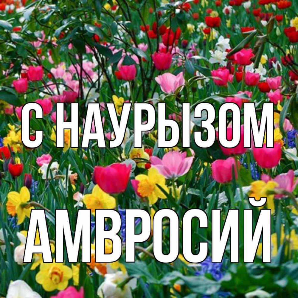 Открытка на каждый день с именем, Амвросий С наурызом с наурызом праздником весны поздравления для женщины Прикольная открытка с пожеланием онлайн скачать бесплатно 