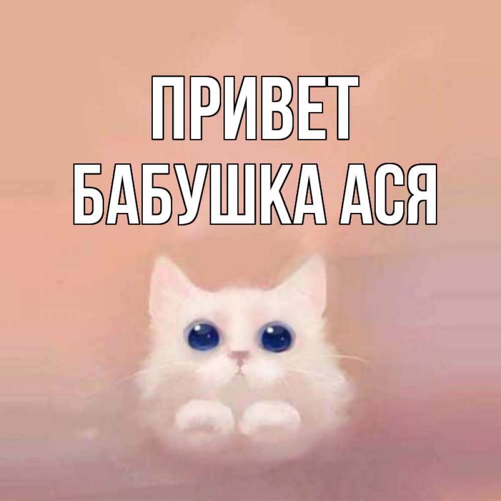 Открытка на каждый день с именем, Бабушка-Ася Привет котик белый в полете Прикольная открытка с пожеланием онлайн скачать бесплатно 