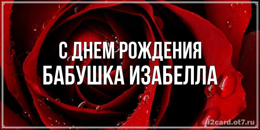 Открытка на каждый день с именем, Бабушка-Изабелла С днем рождения крупная бордовая роза Прикольная открытка с пожеланием онлайн скачать бесплатно 