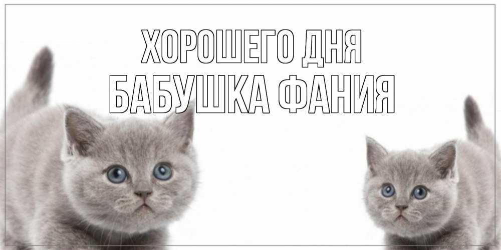 Открытка на каждый день с именем, Бабушка-Фания Хорошего дня открытка с котами Прикольная открытка с пожеланием онлайн скачать бесплатно 