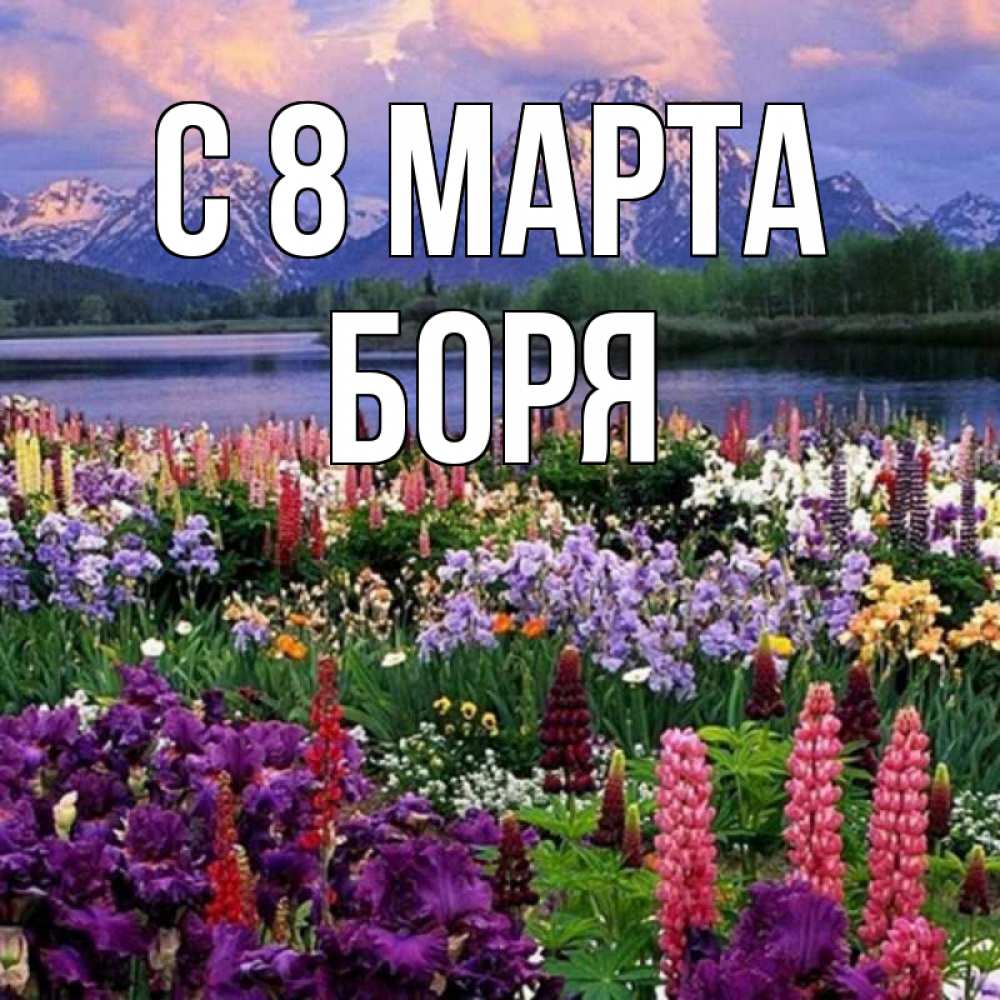 Открытка на каждый день с именем, Боря С 8 марта международный женский день Прикольная открытка с пожеланием онлайн скачать бесплатно 