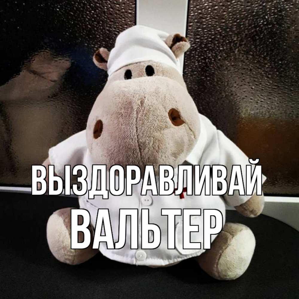 Открытка на каждый день с именем, Вальтер Выздоравливай всех излечит исцелит Прикольная открытка с пожеланием онлайн скачать бесплатно 