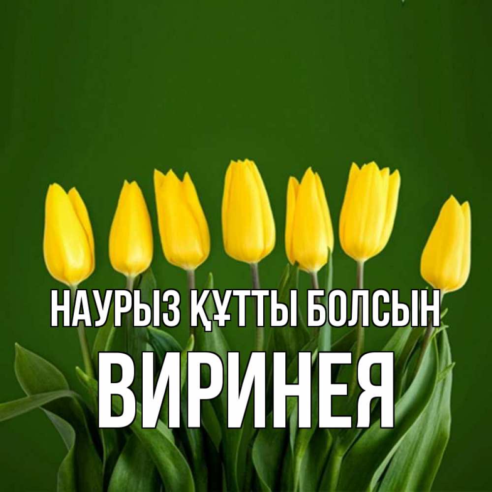 Открытка на каждый день с именем, Виринея Наурыз құтты болсын желтого цвета 3 Прикольная открытка с пожеланием онлайн скачать бесплатно 