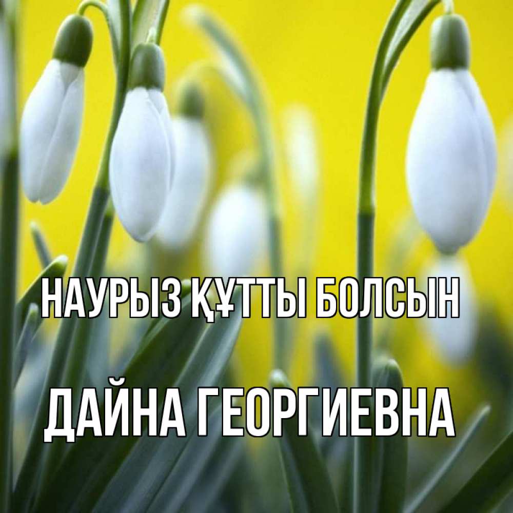 Открытка на каждый день с именем, Дайна-Георгиевна Наурыз құтты болсын весенние цветы Прикольная открытка с пожеланием онлайн скачать бесплатно 