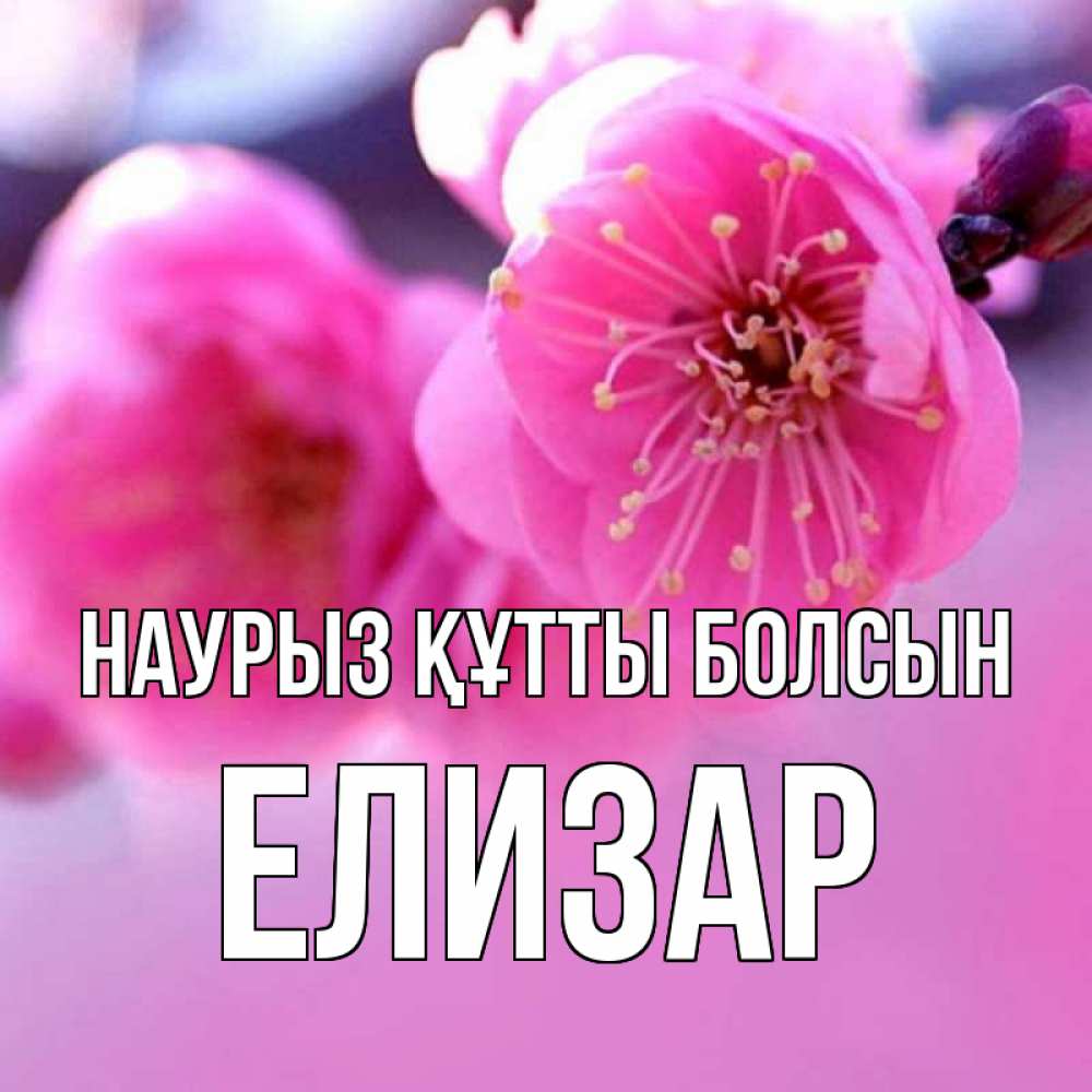 Открытка на каждый день с именем, Елизар Наурыз құтты болсын наурыз мейрам Прикольная открытка с пожеланием онлайн скачать бесплатно 