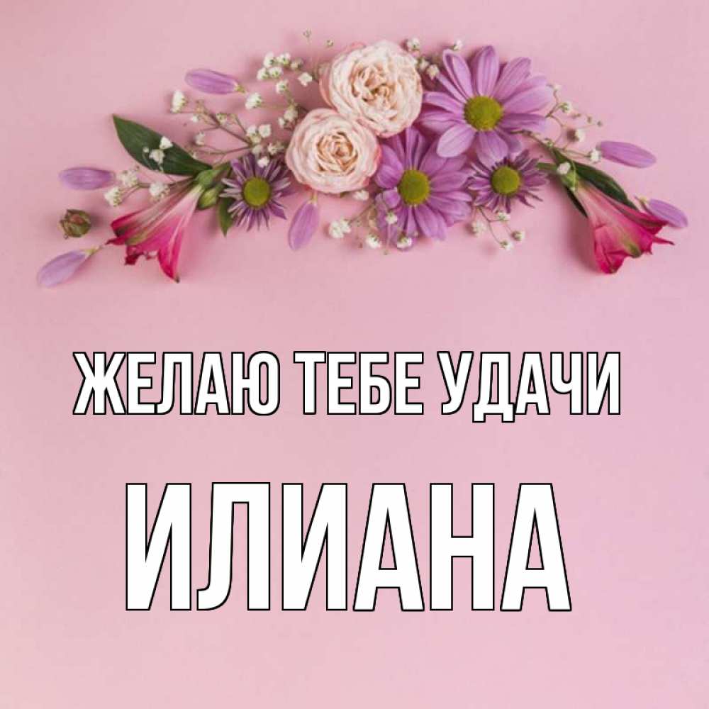 Открытка на каждый день с именем, Илиана Желаю тебе удачи розовый фон Прикольная открытка с пожеланием онлайн скачать бесплатно 