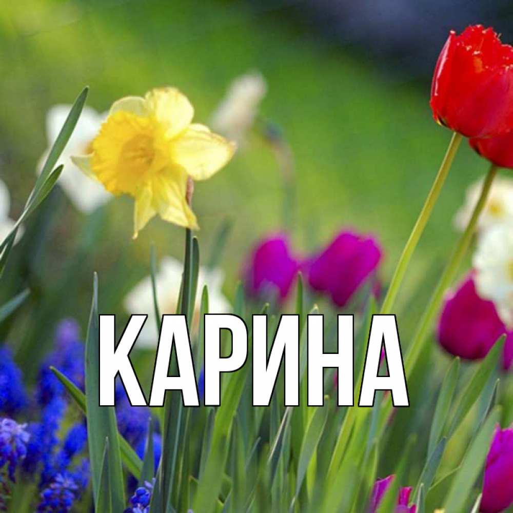 Открытка на каждый день с именем, Карина Главная международный женский день 3 Прикольная открытка с пожеланием онлайн скачать бесплатно 