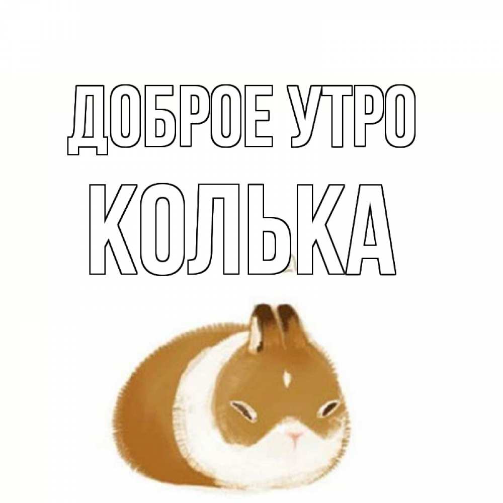 Открытка на каждый день с именем, Колька Доброе утро хорошего утречка Прикольная открытка с пожеланием онлайн скачать бесплатно 
